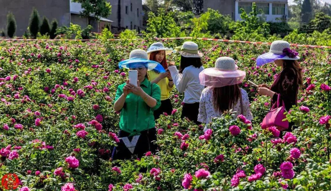 学历最高的农民,中国学历最高的农民