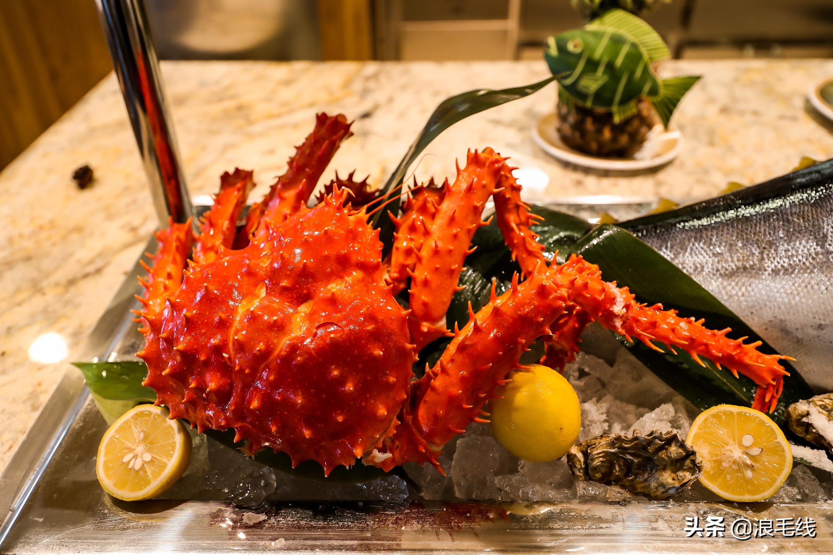 8天7夜，带着老头子游轮上岸行是种什么体验？