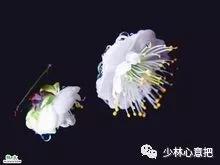 中药图片大全名称,中药图片大全带药名高清