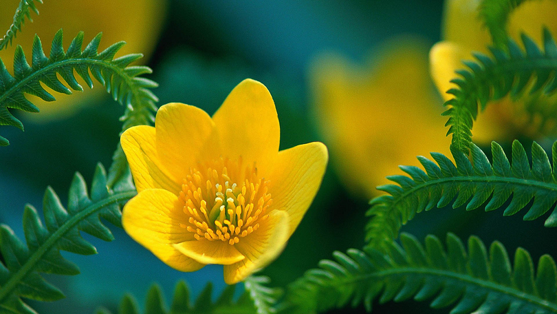 女孩书香气的名字大全,知书达礼女宝宝名字