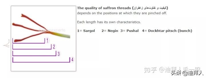 藏红花迪拜藏红花,藏红花真假鉴别方法视频
