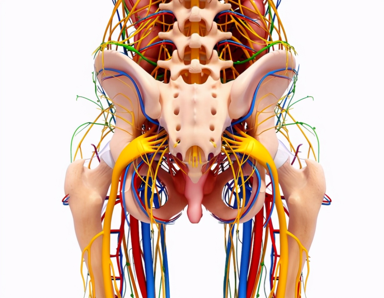 下蹲困难站起来站不直,右腿下蹲困难解决方法