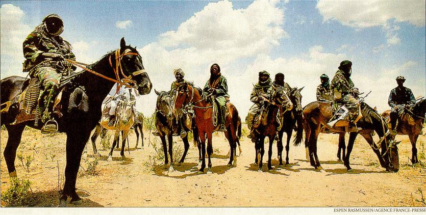 ngo在中国的代理人,ngo在哪里可以参加