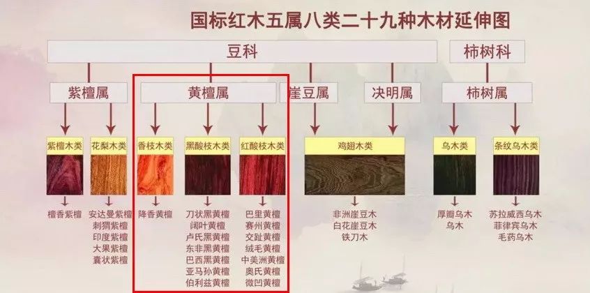 国标红木29种高清图,29种国标红木排名及价格