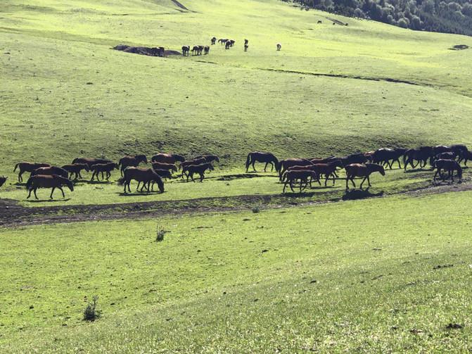 一家四口暑假日常之去游乐场,四川亲子游5日游8月游记