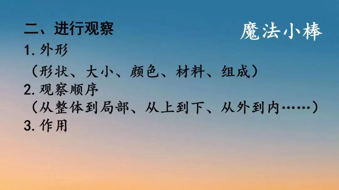 作文五年级部编版我的心爱之物,我的心爱之物800字作文五年级上册