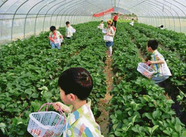 与永丰乐城相约一场“莓”好时光之旅