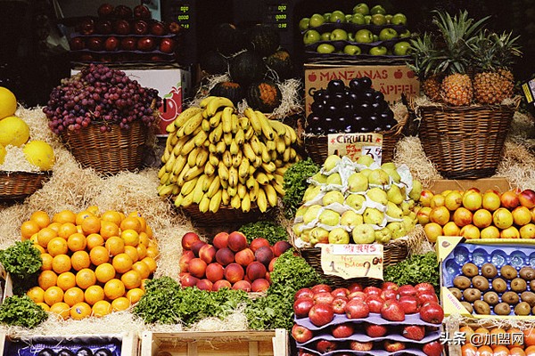 适合县城创业少儿项目,适合小县城创业好项目农业养殖