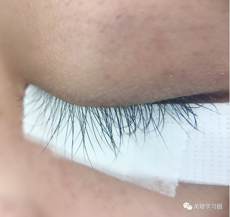 嫁接睫毛时真睫毛又乱又短怎么办,为什么嫁接的单根睫毛乱七八糟的