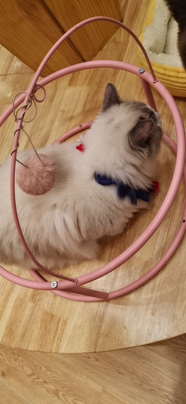 盘点不喜欢认输比较狠的三大星座,千万不要在这三个星座面前耍心机