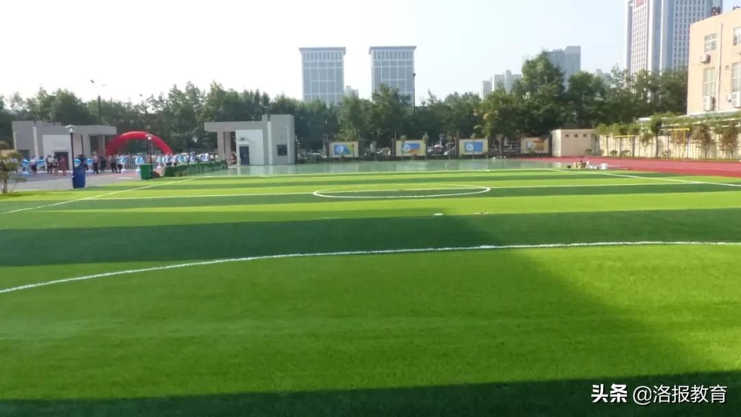 洛阳洛龙区有哪些小学,2019年洛龙区新建小学