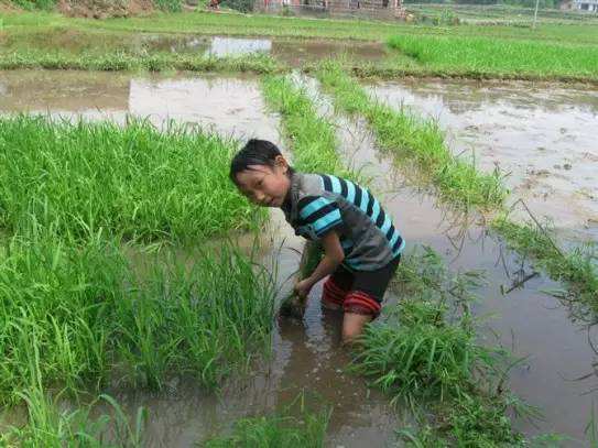 带你寻找记忆中的童年,我的童年既是怎样的又是怎样的