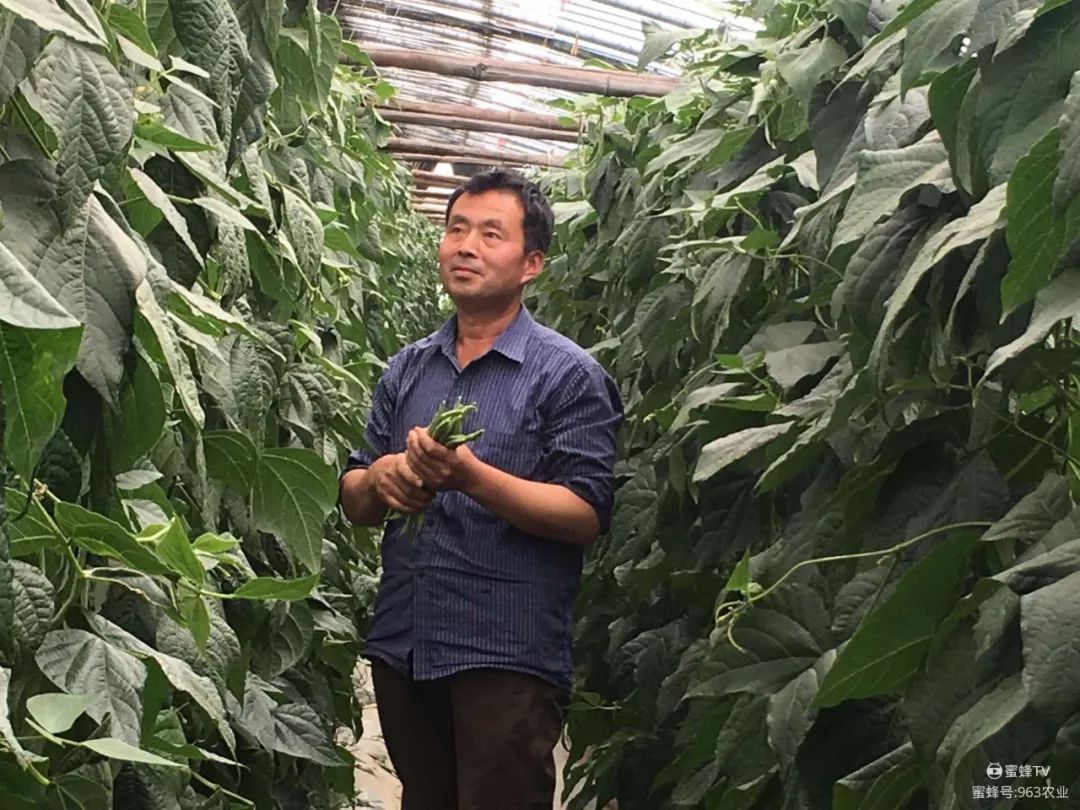 种植创业项目的愿景,种植行业创新创业