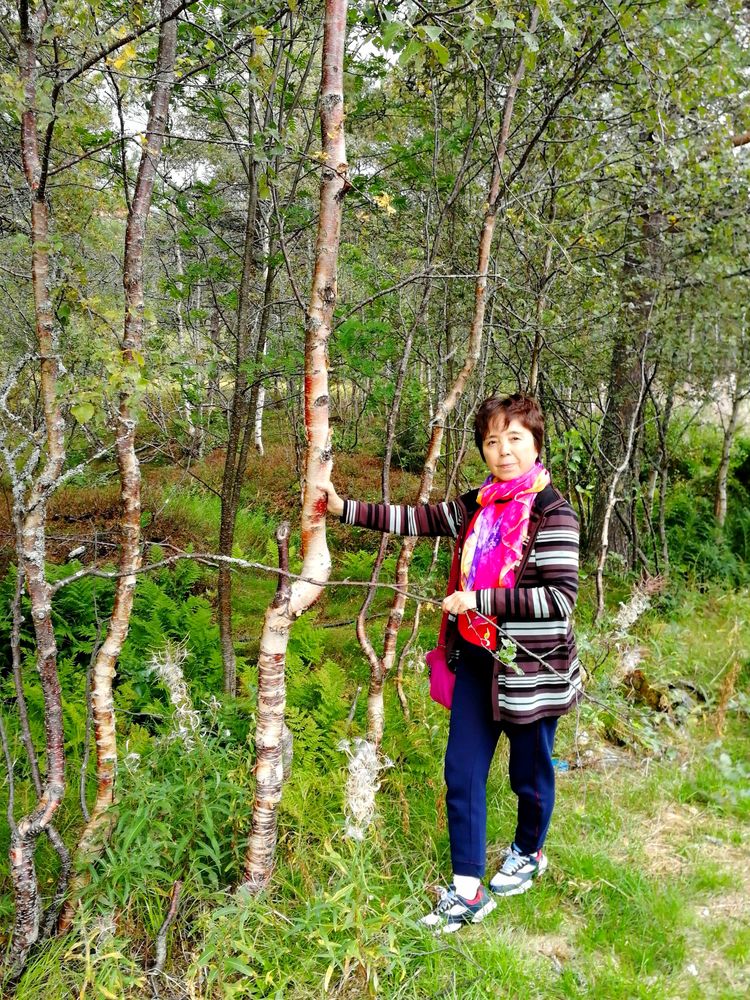 北欧半岛游记挪威,北欧四国之挪威风光