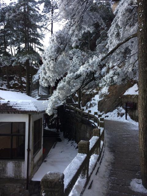 日本人的文化博大精深,日本人的文学素养