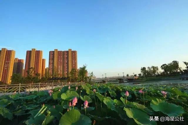 无锡十大免费公园排名榜最新,无锡晚上公园免费景点