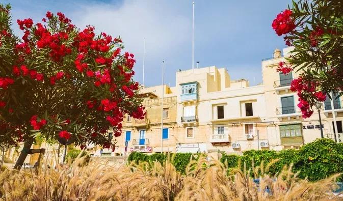 地中海岛国马耳他,马耳他地中海的璀璨明珠