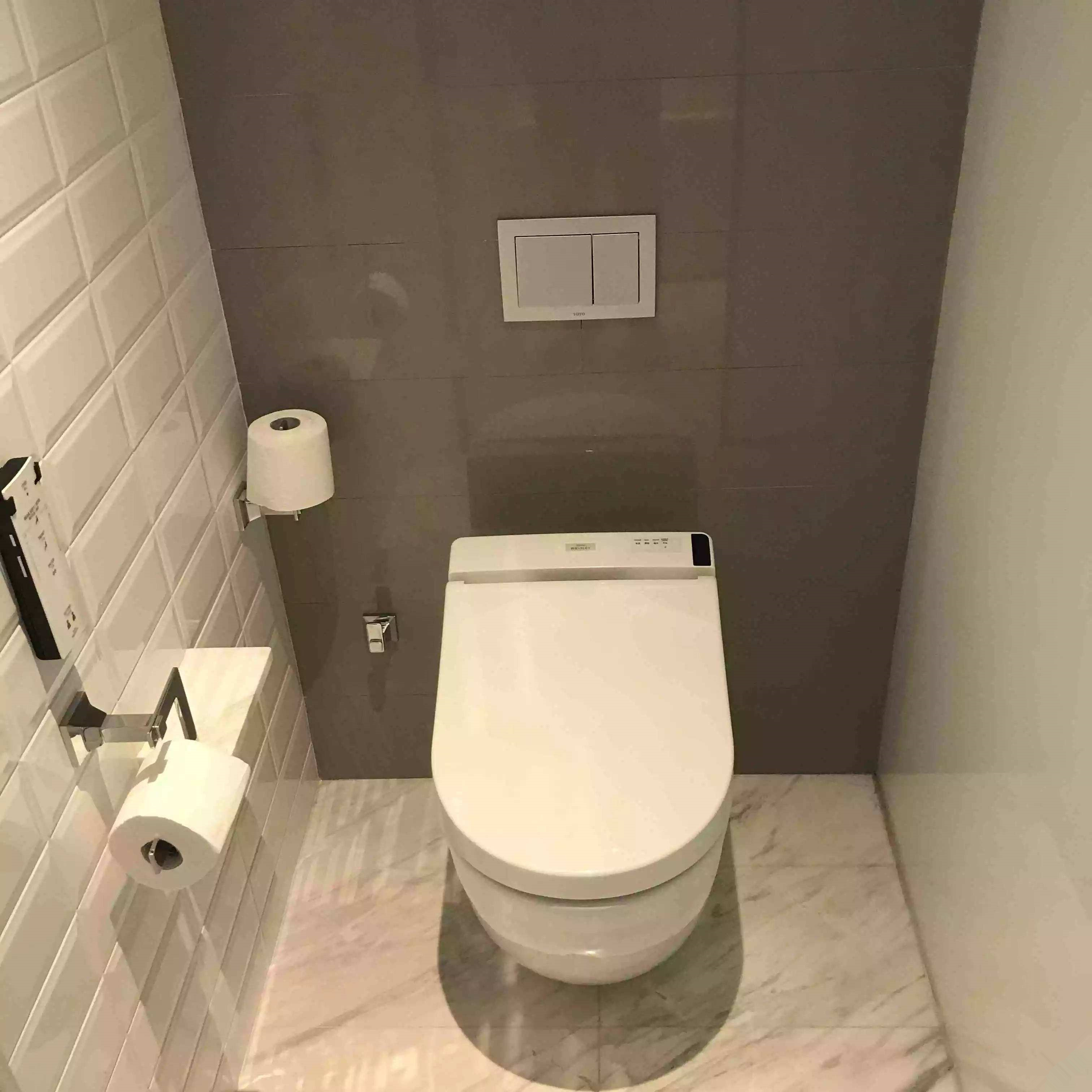 智能马桶和智能马桶盖有哪些区别 (智能马桶与智能马桶盖什么区别)