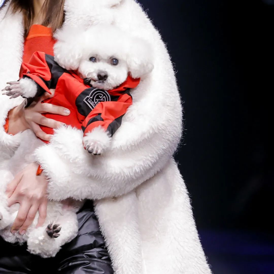 2021秋冬女装款式流行趋势,2018秋冬趋势报告巴黎时装周