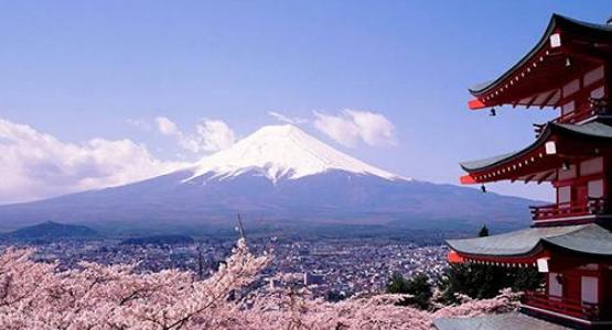 2019英式橄榄球世界杯中国香港,2019橄榄球世界杯赛程赛果