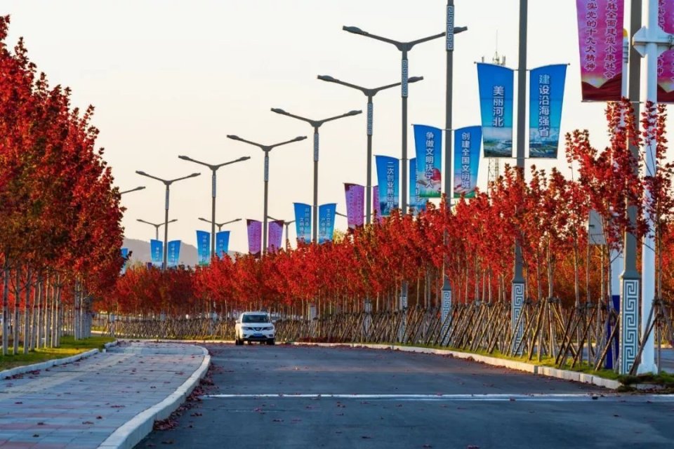 秦皇岛秋天去哪里玩,秦皇岛秋天游玩的景点