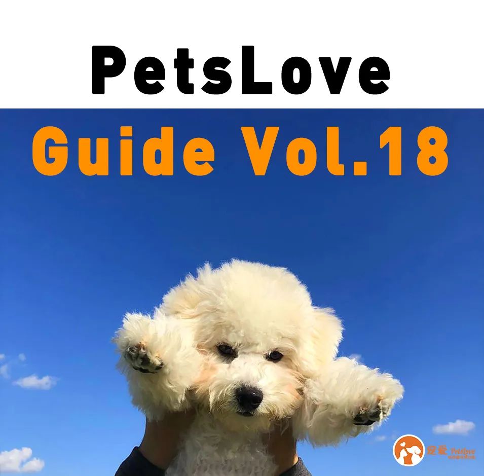 狗狗秋冬怎么穿衣服,狗狗的衣服怎么选好看又实用