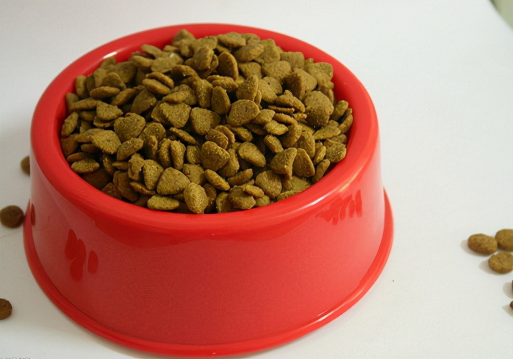 狗狗腹泻呕吐白色的泡沫粘液,狗狗呕吐拉稀怎么治吃什么药