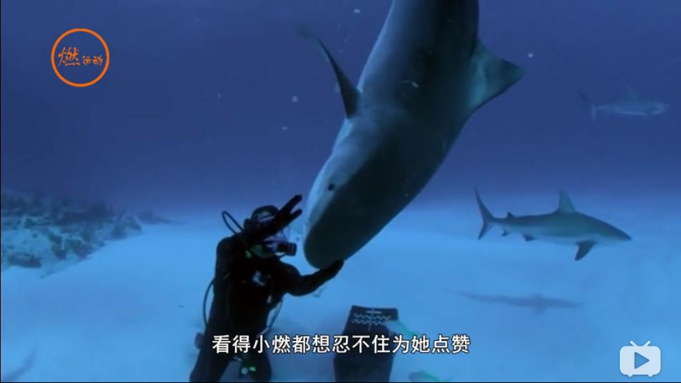 翼装飞行女孩的感悟,翼装飞行女孩短暂绚丽的人生