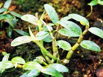 浙江各地市误解,你以为的临安vs实际上的临安