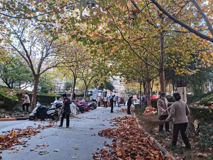 凤凰城二期物业管理,凤凰城物业现状