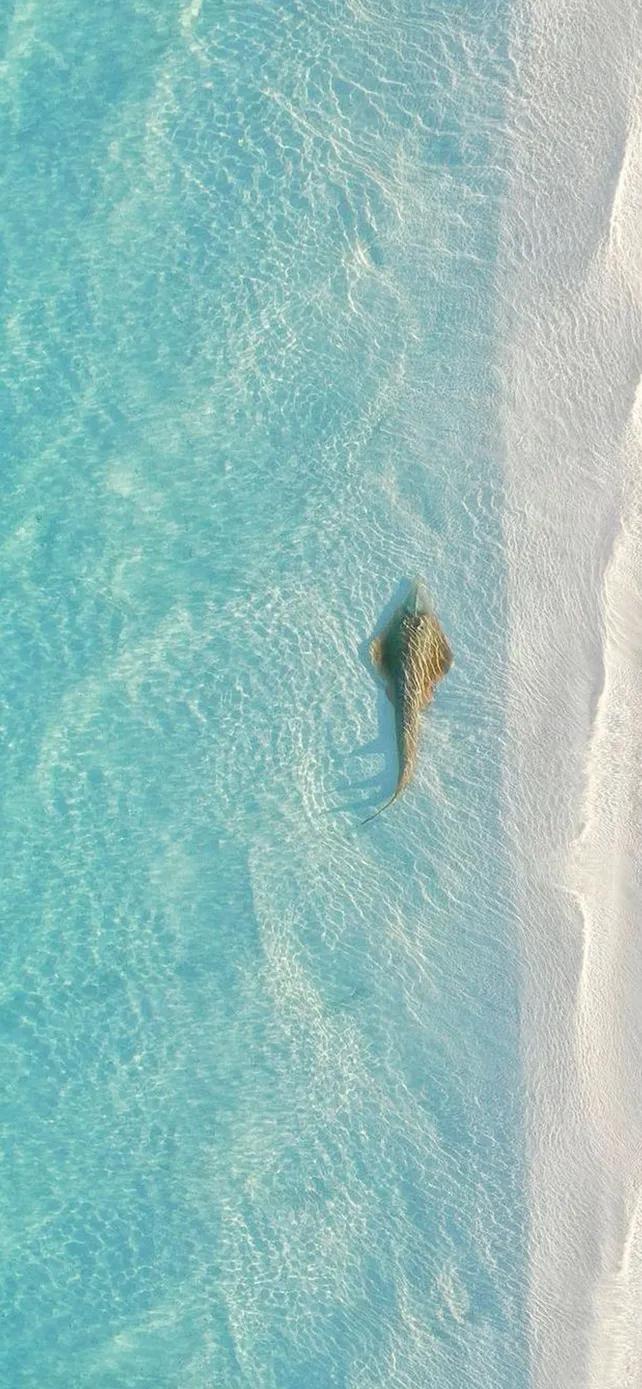 手机壁纸星辰大海火箭,人间烟火星辰大海壁纸