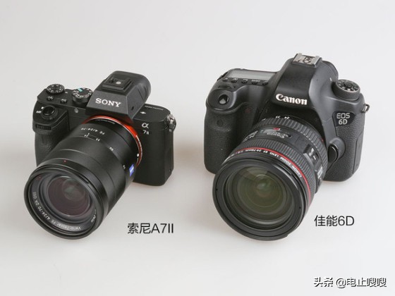 新手入门相机单反和微单的区别,无反相机和微单相机的区别