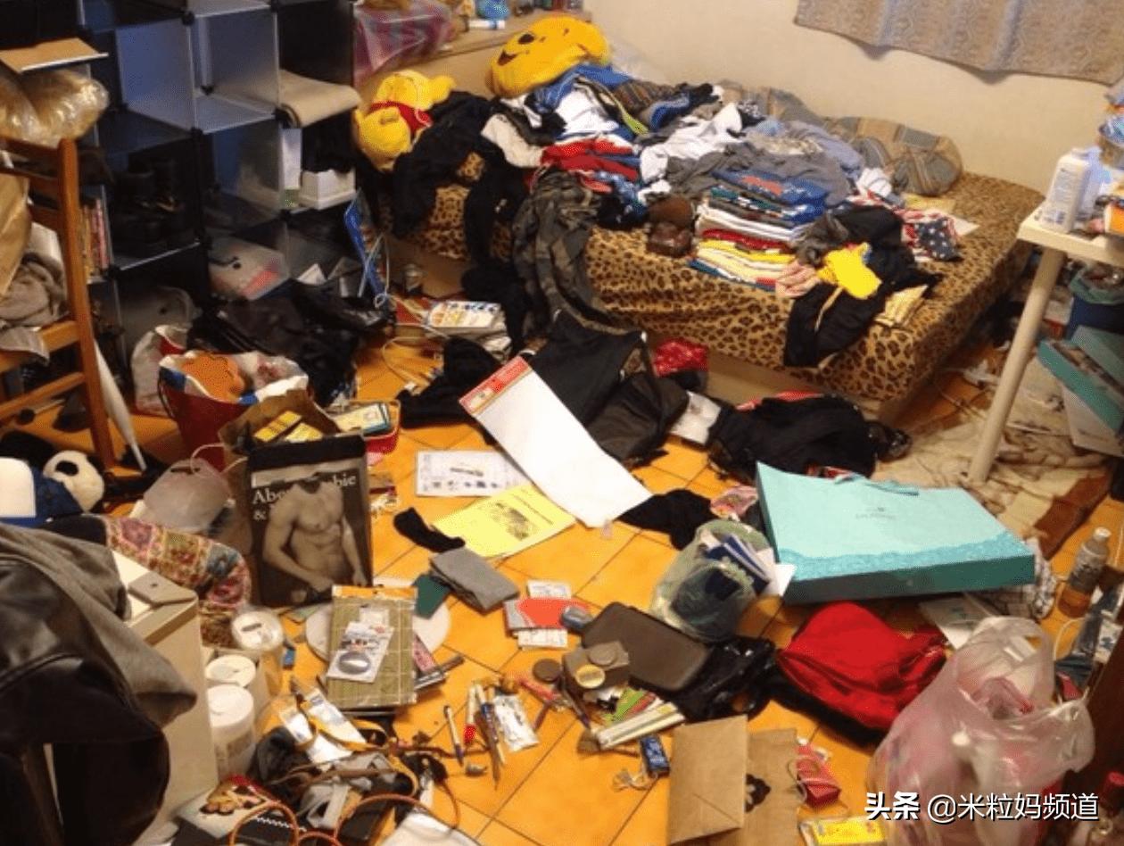 二哈回头不是拆家就是拆房,二哈不是在拆家就是在拆家的路上