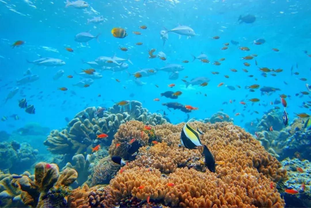 东南亚最适合旅游的地方有哪些,东南亚适合旅游的地方排名