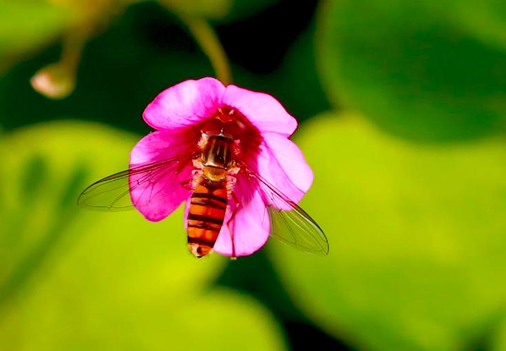 罗隐最经典的5首诗,罗隐十首经典诗词