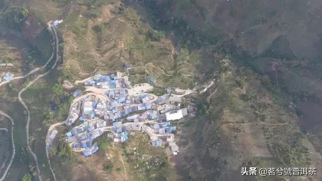 云南临沧双江勐库冰岛茶,双江县勐库冰岛茶