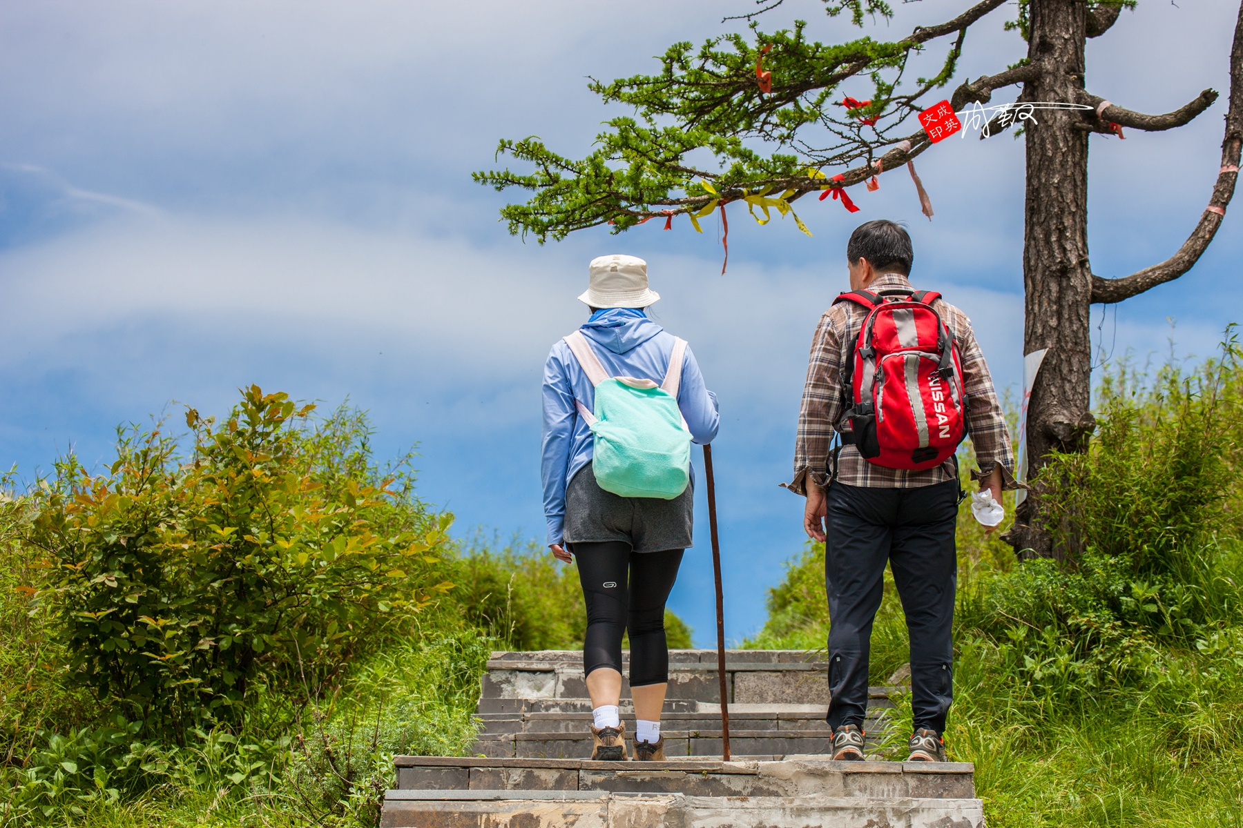 佳能1ds3拍摄感受,佳能1dsmark3评测