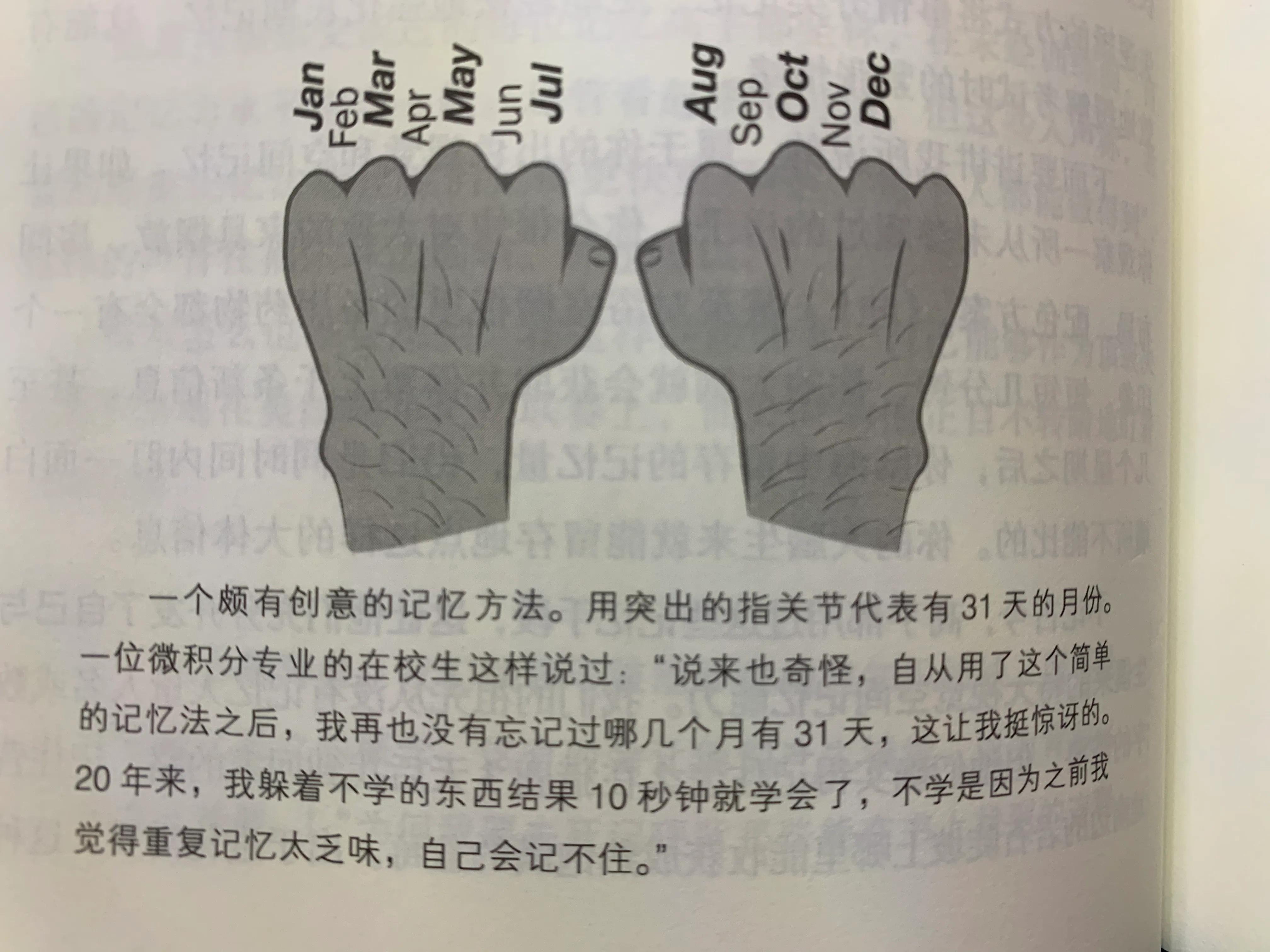 强你的记忆力大脑虽小，空间无限之《学习之道》
