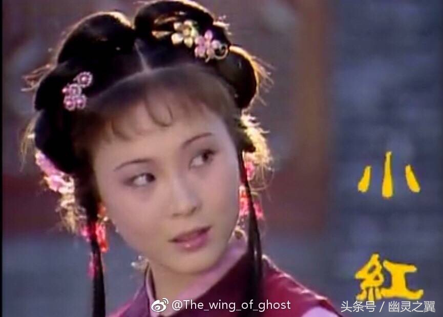 红楼梦里的丫头都是从哪儿来的,红楼梦中性格最刚烈的丫头是谁