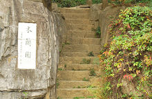 罗湖仙湖植物园,仙湖植物园植物区