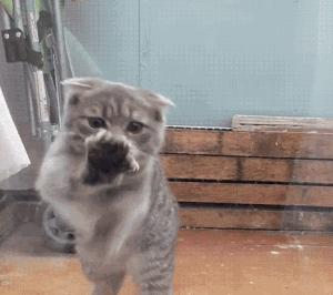 二手房装修翻新价格一览表40平方,120平二手房翻新改造需要多少钱