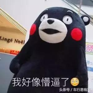 经典福克斯空调滤芯更换教程,途观空调滤芯更换周期