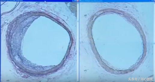 别让你的坏情绪毁了你的明天,不要让坏情绪毁你的一整天文案