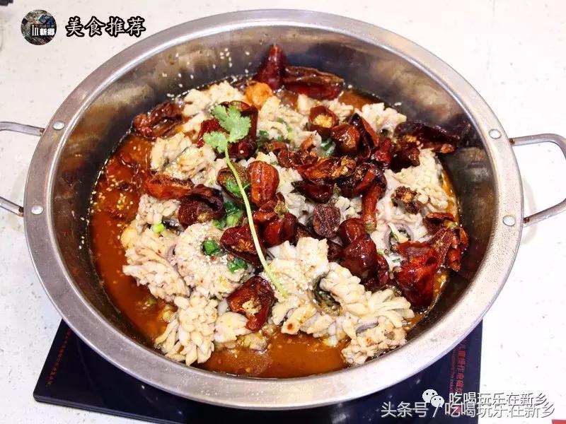 2058花乌鱼？新乡人再不补充胶原蛋白就要加入脱发大军啦！