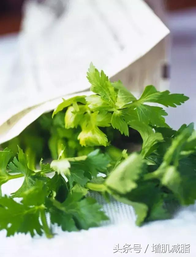 甩脂减肥餐,掉脂快的减肥餐