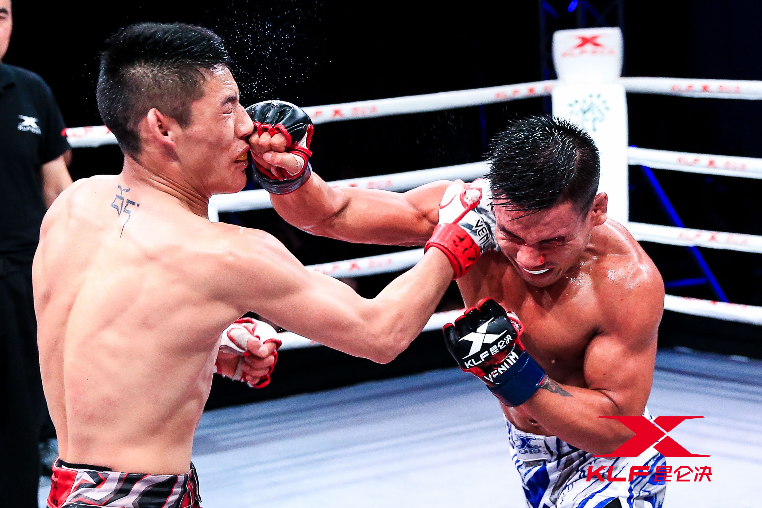 昆仑决汪柯菡出场,昆仑决汪柯菡输给了谁