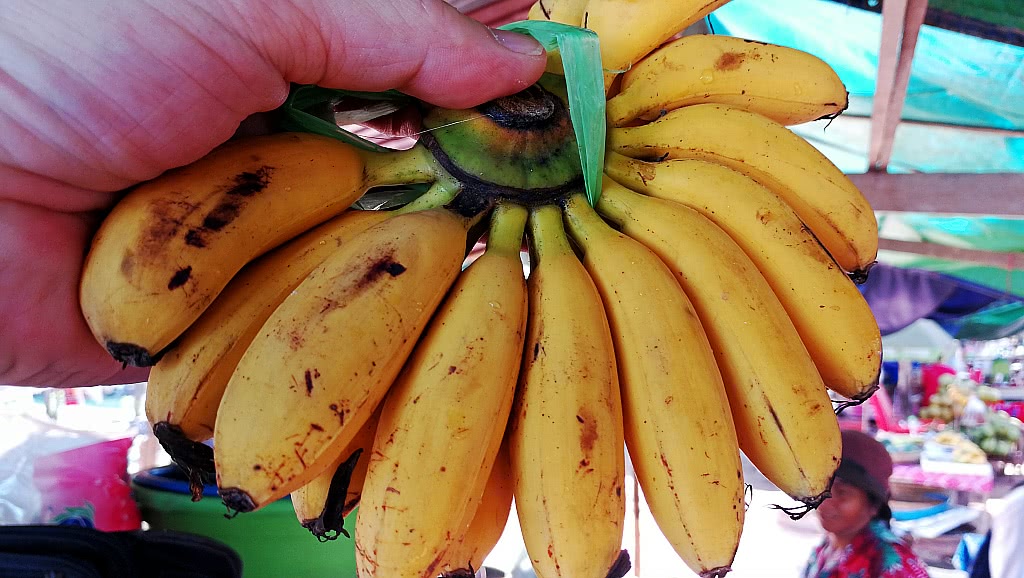 柬埔寨都有啥水果和特产,柬埔寨那些奇葩水果