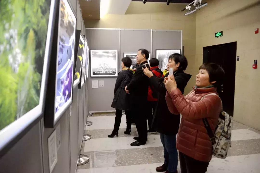 早春三月,金鹰湖畔,“爱的奉献”,与你相约......