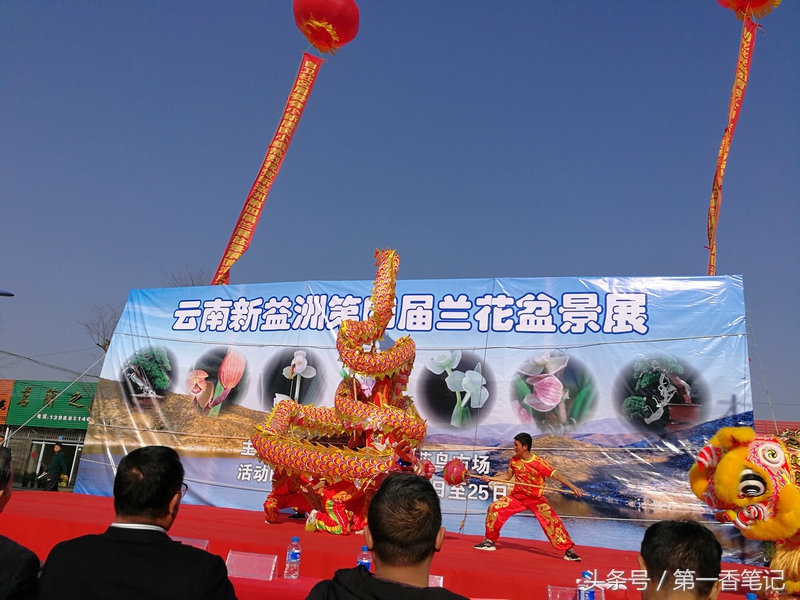 2018年昆明兰花展精品图片,云南兰花展作品欣赏