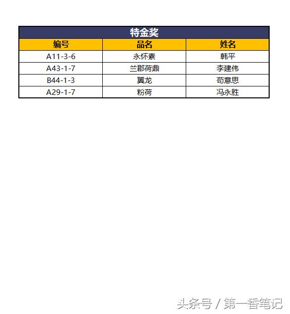 2020年云南兰花展获奖图片,2018年昆明兰花展精品图片